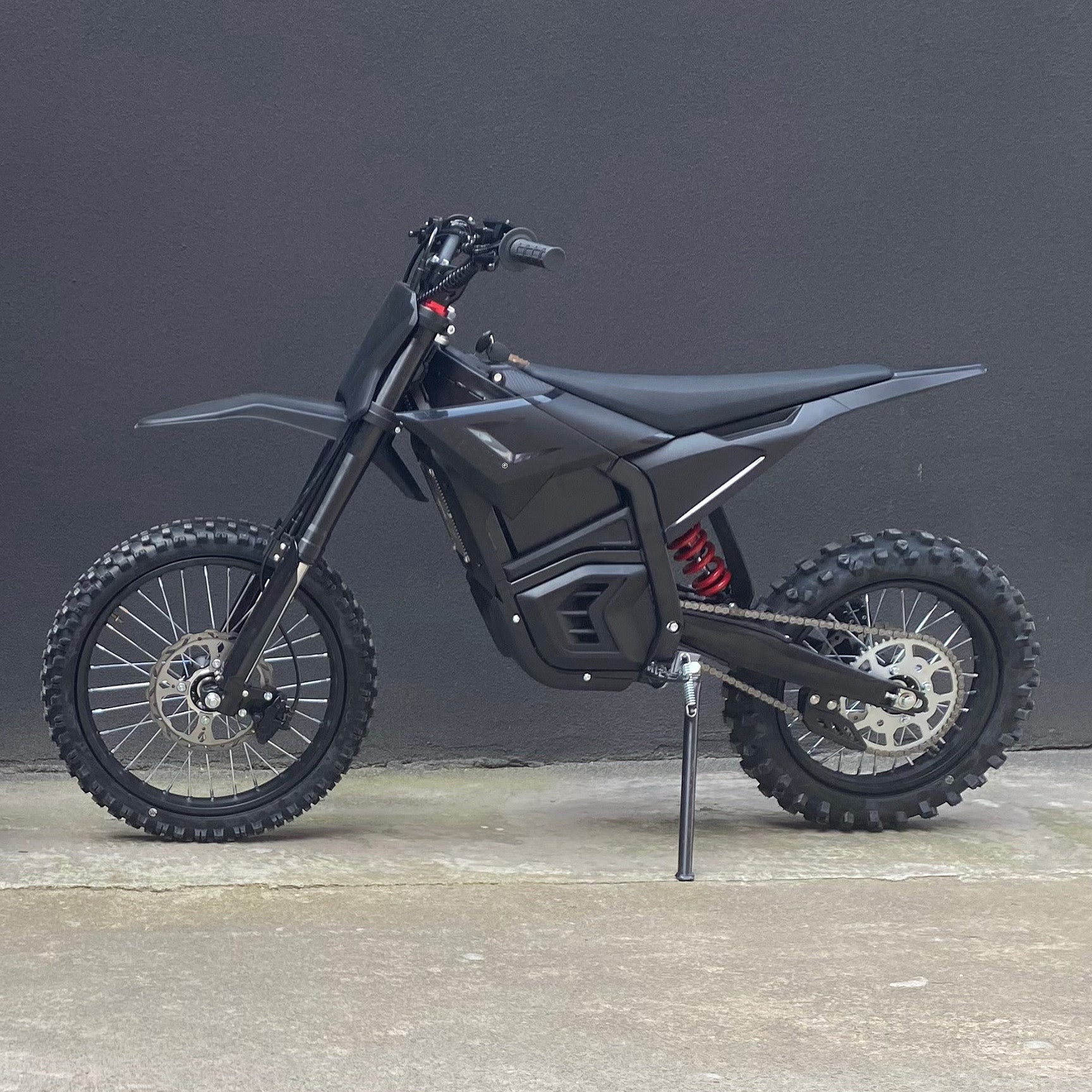 Adult and Teenager Electric Dirt Bike with Different Type